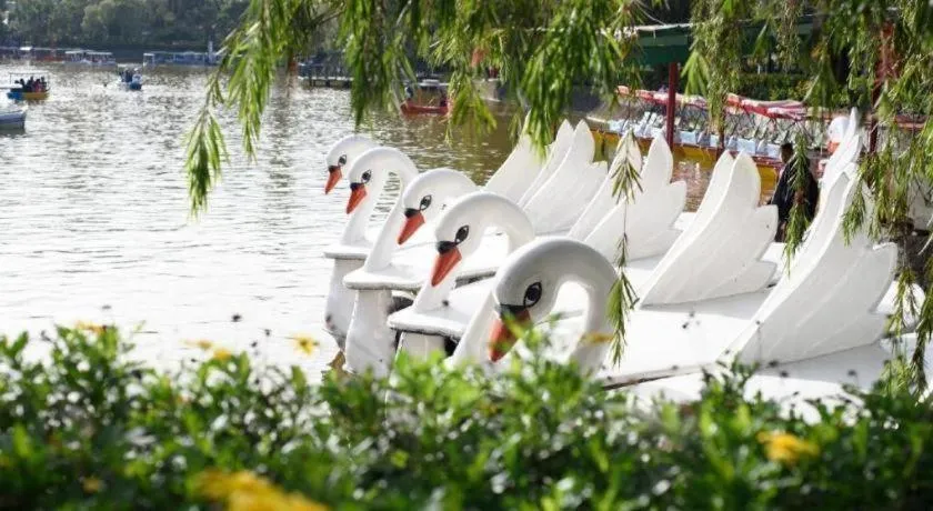 Hotel Veniz - Session