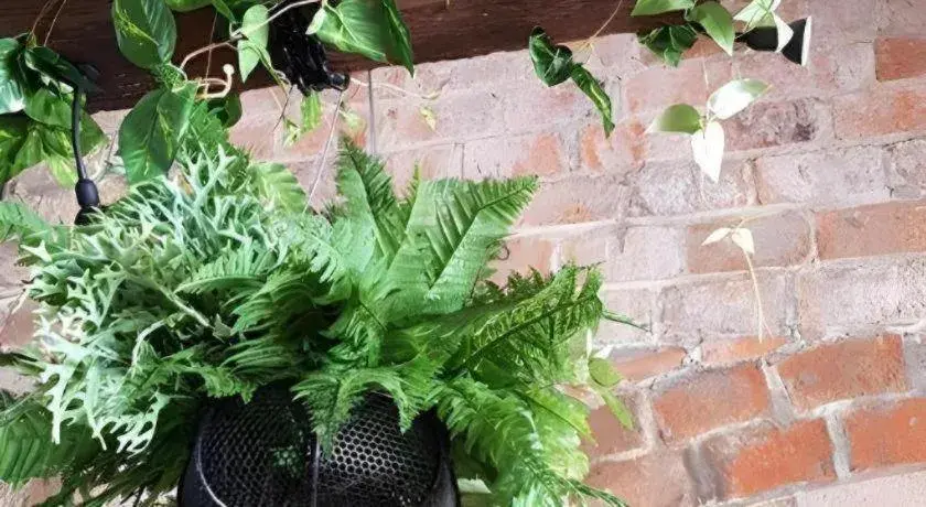 Mintara Hotel Mintara Hotel