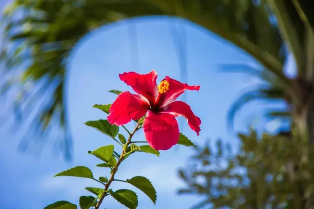 TAWANCHAY HOTEL PHATTHALUNG TAWANCHAY HOTEL PHATTHALUNG