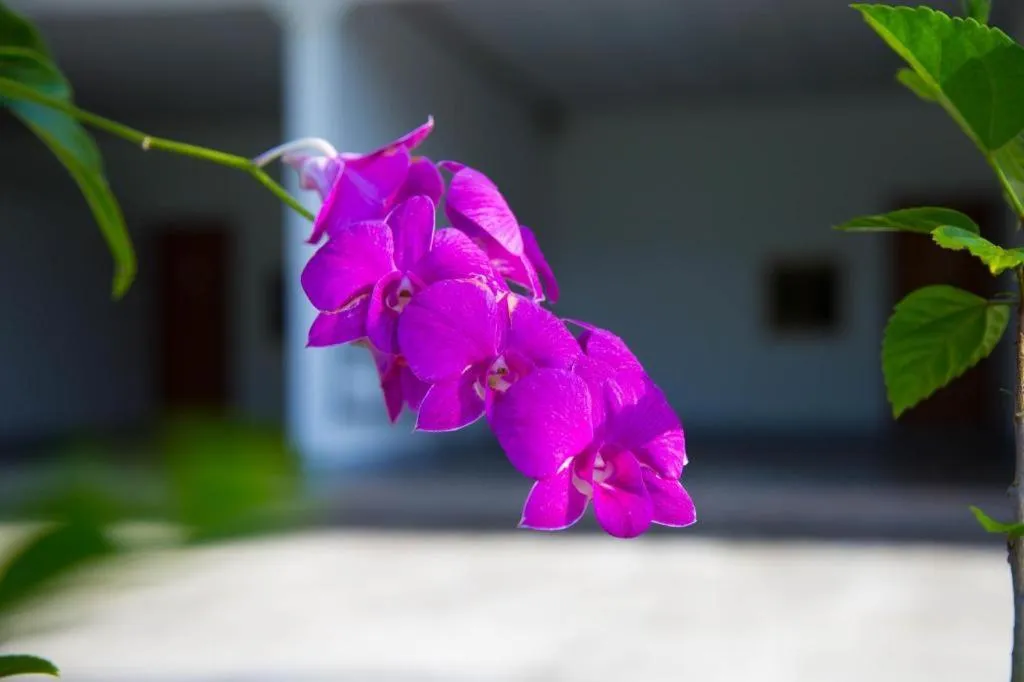 TAWANCHAY HOTEL PHATTHALUNG