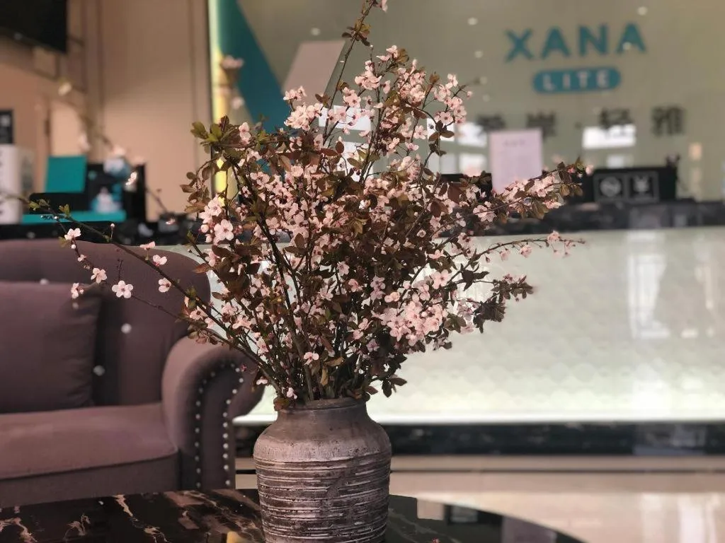 Xana Lite Neijiang Zizhong Shanghehui Branch