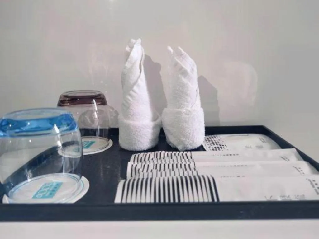 Xana Lite Neijiang Zizhong Shanghehui Branch