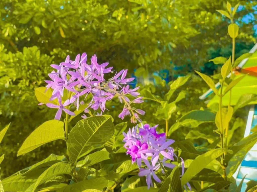 The Linux Garden Hotel (City Amphur Muang Yala)