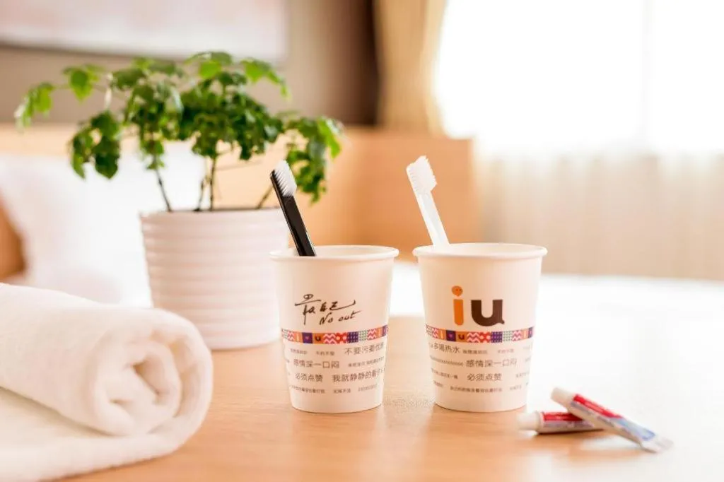 IU Hotels·Hefei Lujiang Andeli Plaza