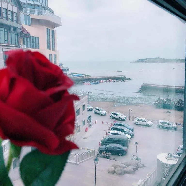 7 Days Premium Qingdao World of Ocean Qingdao University