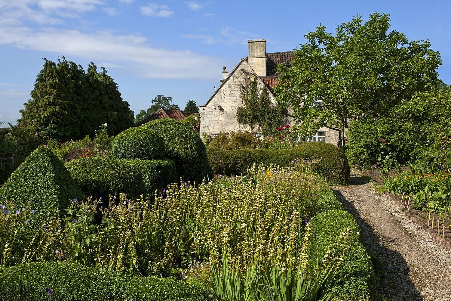 Garden in The Moonraker Hotel