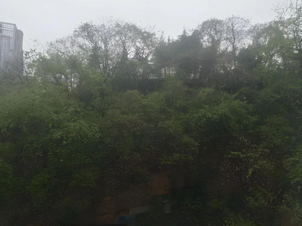 City Comfort Inn Wuhan Pangxiejia Metro Station