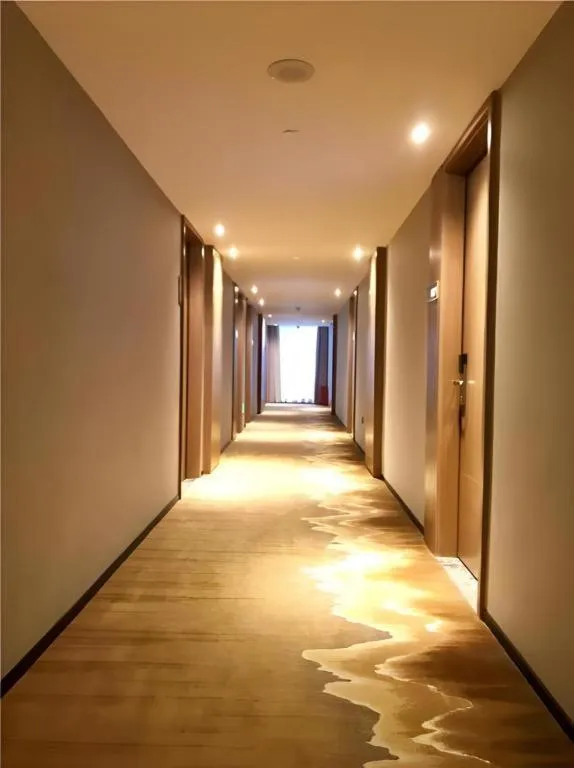 Borrman Hotel Liuzhou Guizhong Avenue Liugao