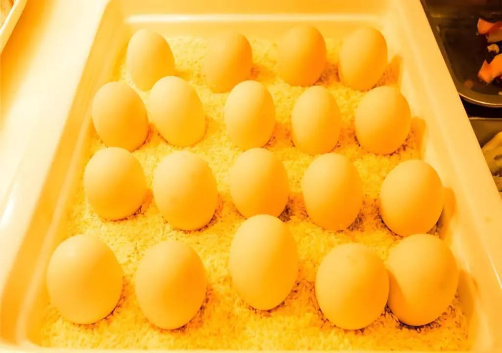 City Comfort Inn Hechi Yizhou Bus Terminal