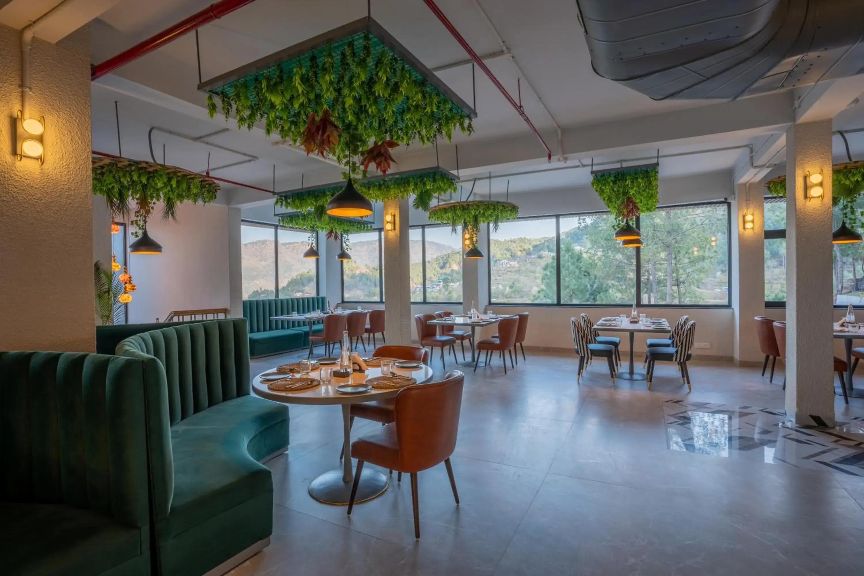 Restaurant/places to eat in Velmore Kasauli Operated by Royal Orchid Hotel Ltd. Restaurant/places to eat in Velmore Kasauli Operated by Royal Orchid Hotel Ltd.