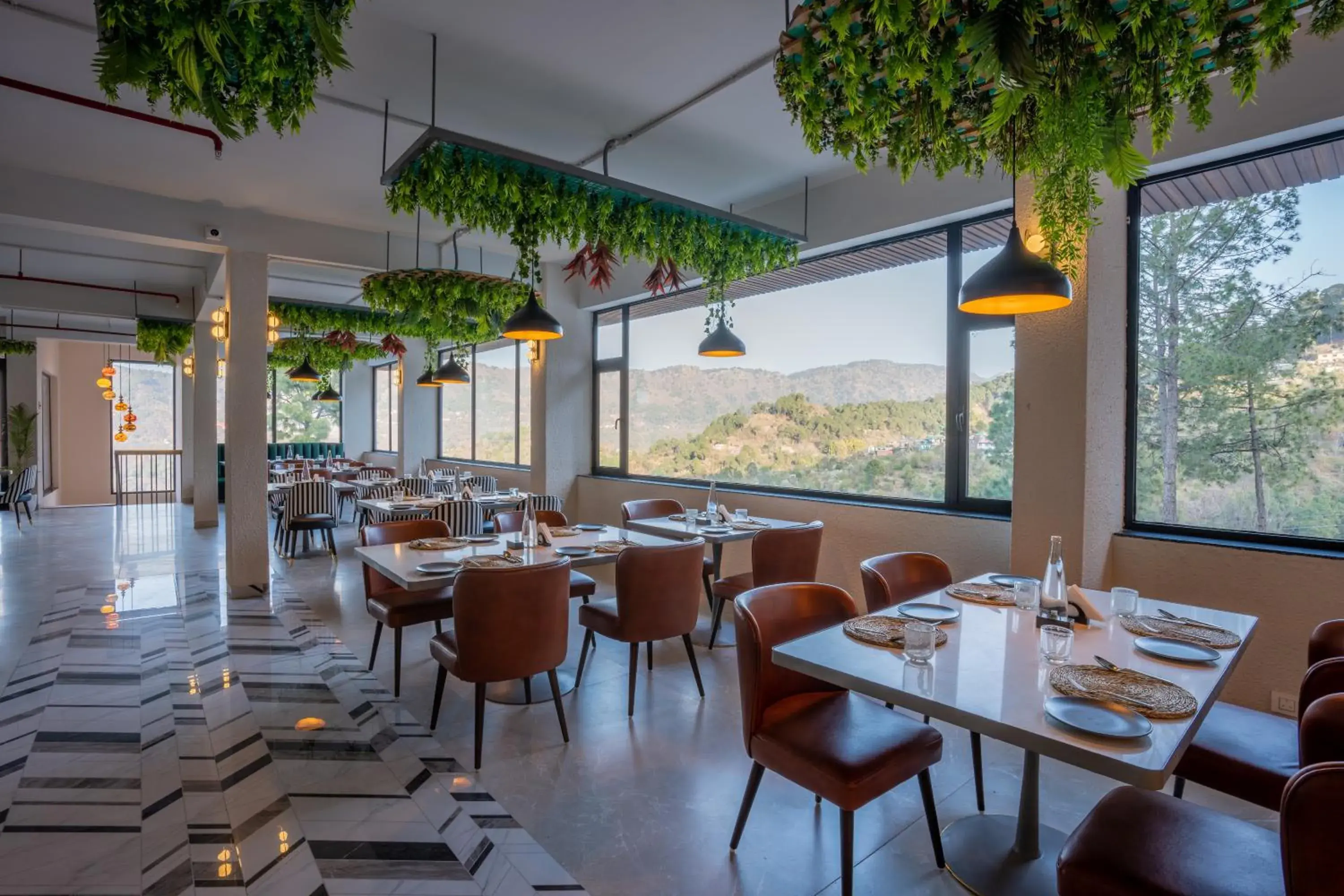 Restaurant/places to eat in Velmore Kasauli Operated by Royal Orchid Hotel Ltd. Restaurant/places to eat in Velmore Kasauli Operated by Royal Orchid Hotel Ltd.