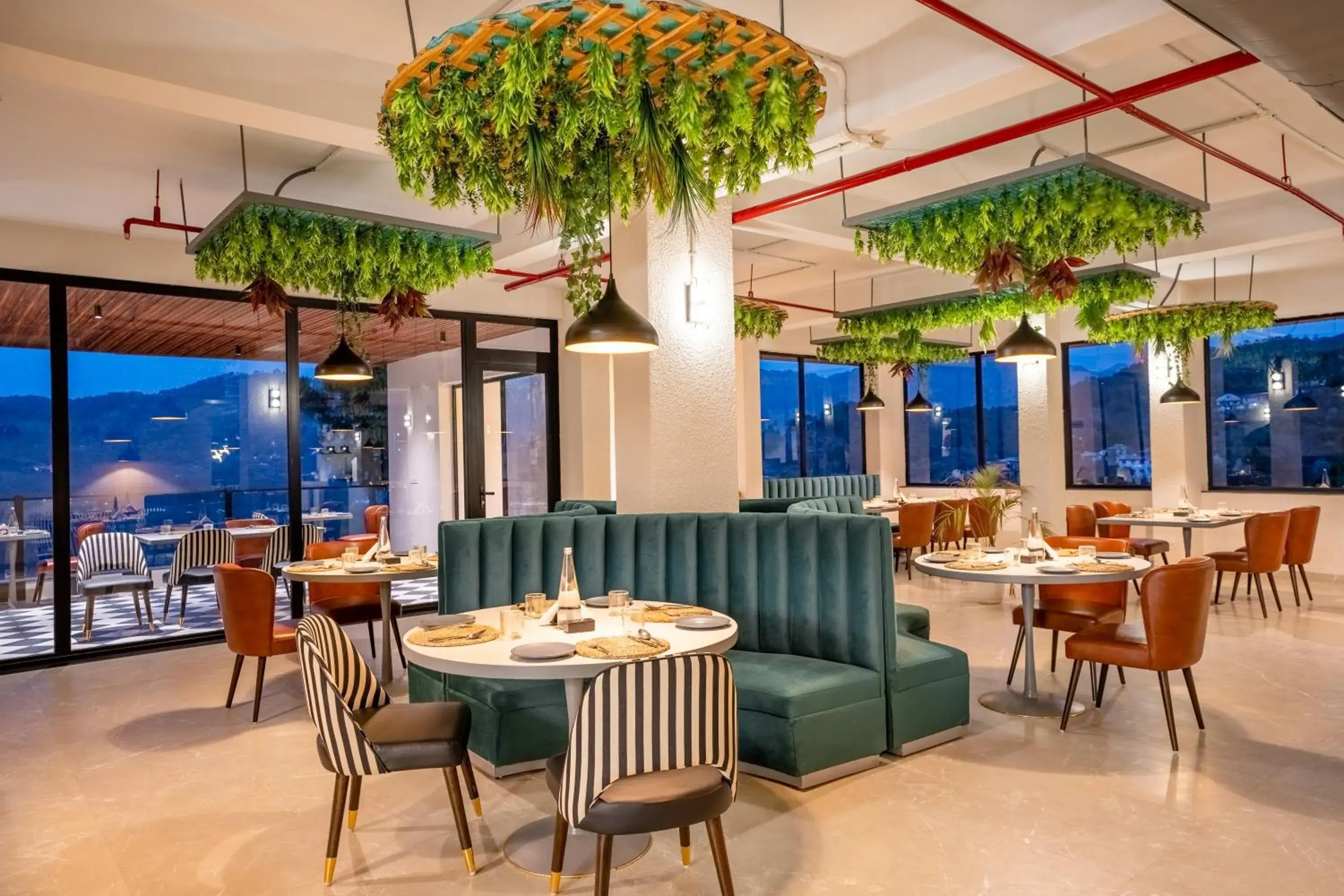 Restaurant/places to eat in Velmore Kasauli Operated by Royal Orchid Hotel Ltd. Restaurant/places to eat in Velmore Kasauli Operated by Royal Orchid Hotel Ltd.