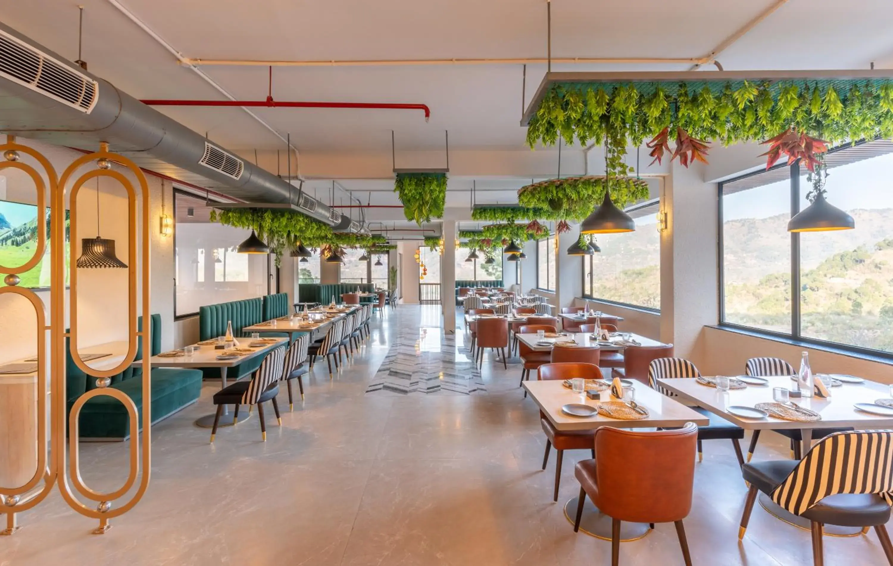 Restaurant/places to eat in Velmore Kasauli Operated by Royal Orchid Hotel Ltd. Restaurant/places to eat in Velmore Kasauli Operated by Royal Orchid Hotel Ltd.