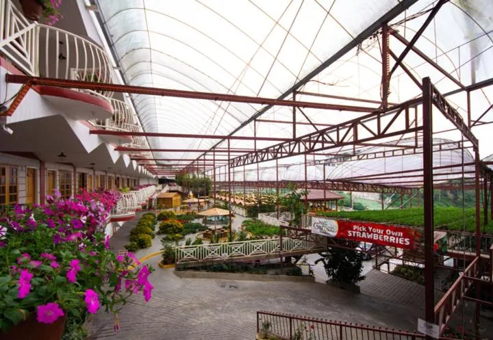 Kea Garden Guest House