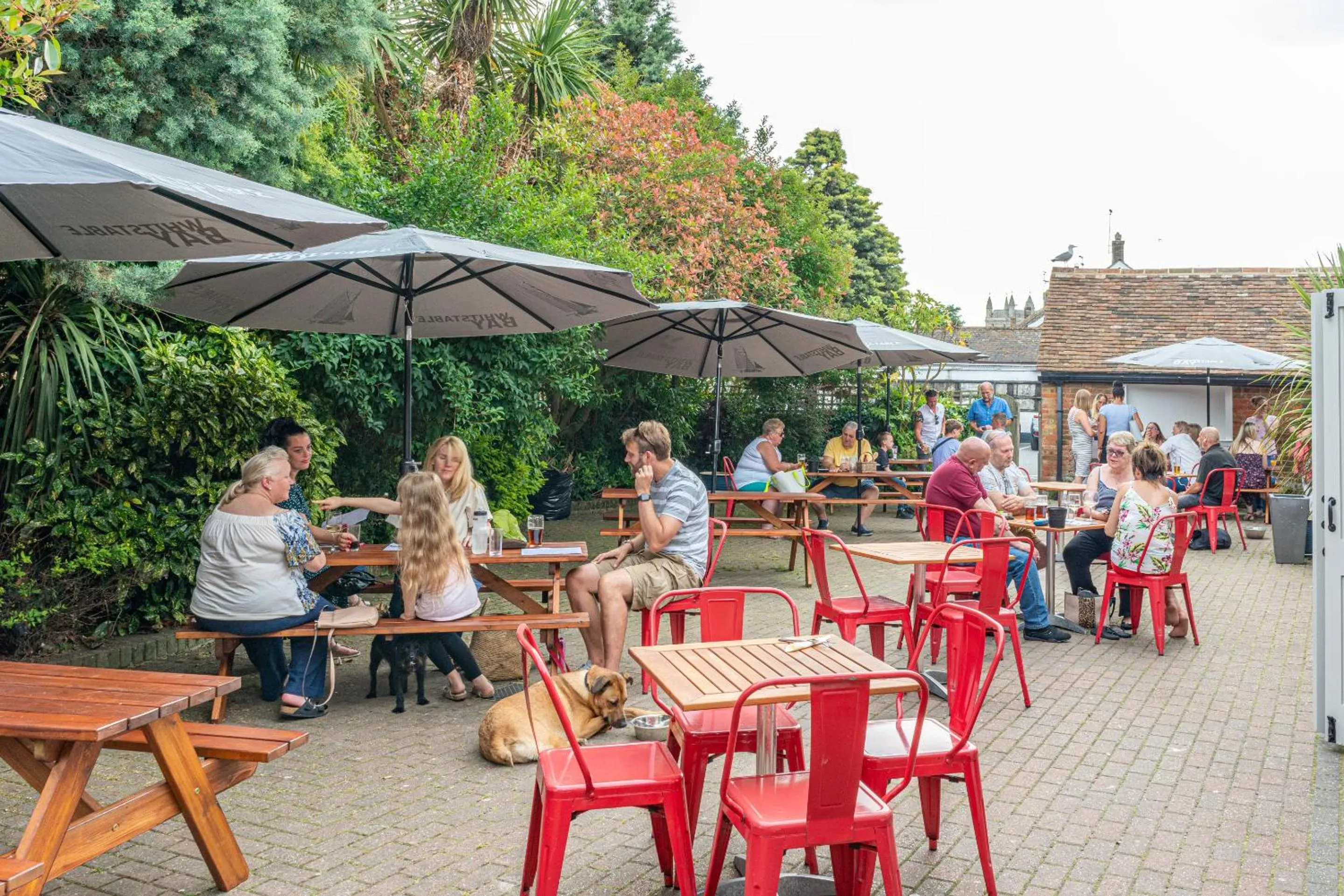 Garden in The Ship Hotel