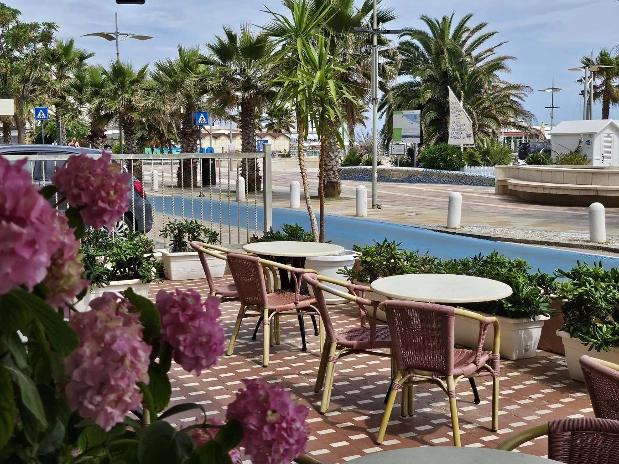 Garden in Hotel Villa Rosa