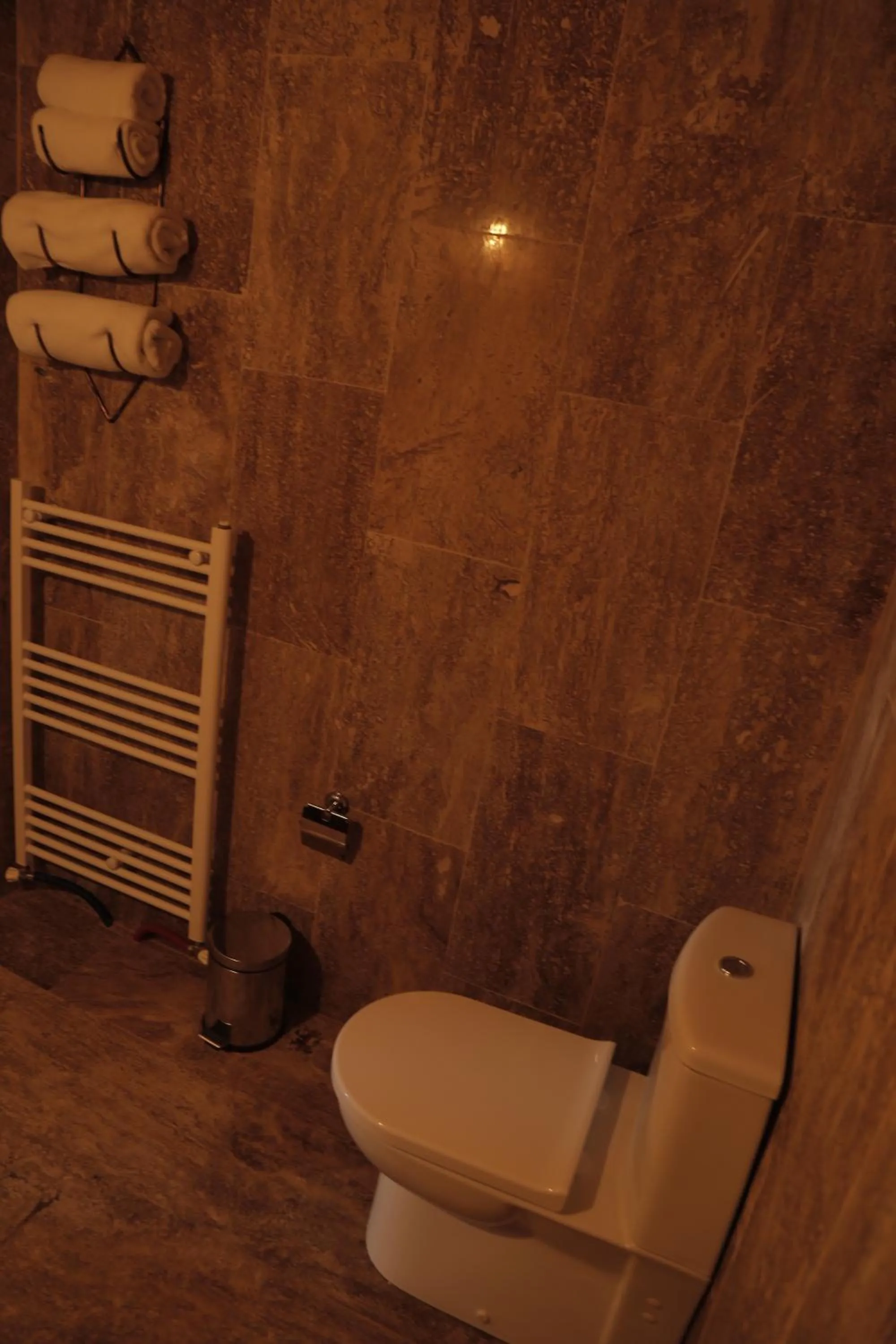 Toilet in Philosophy Hotel