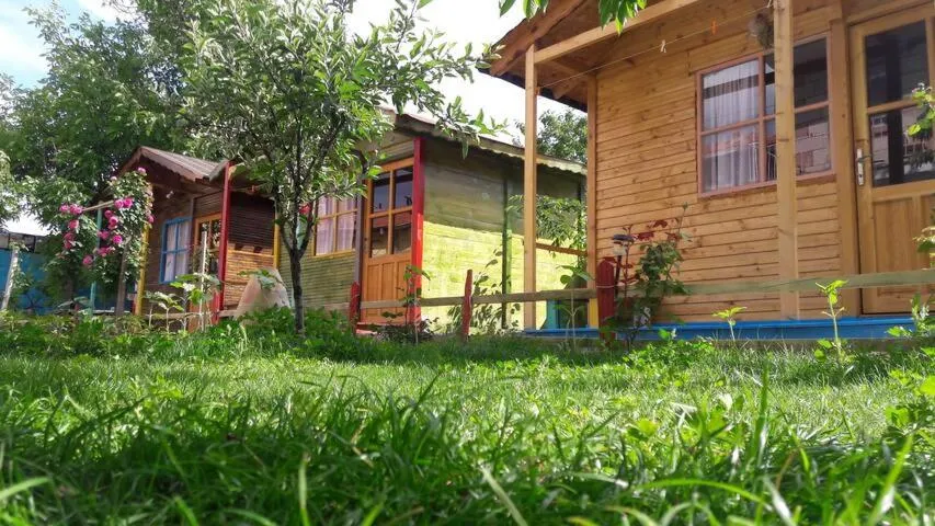 Garden in Philosophy Hotel