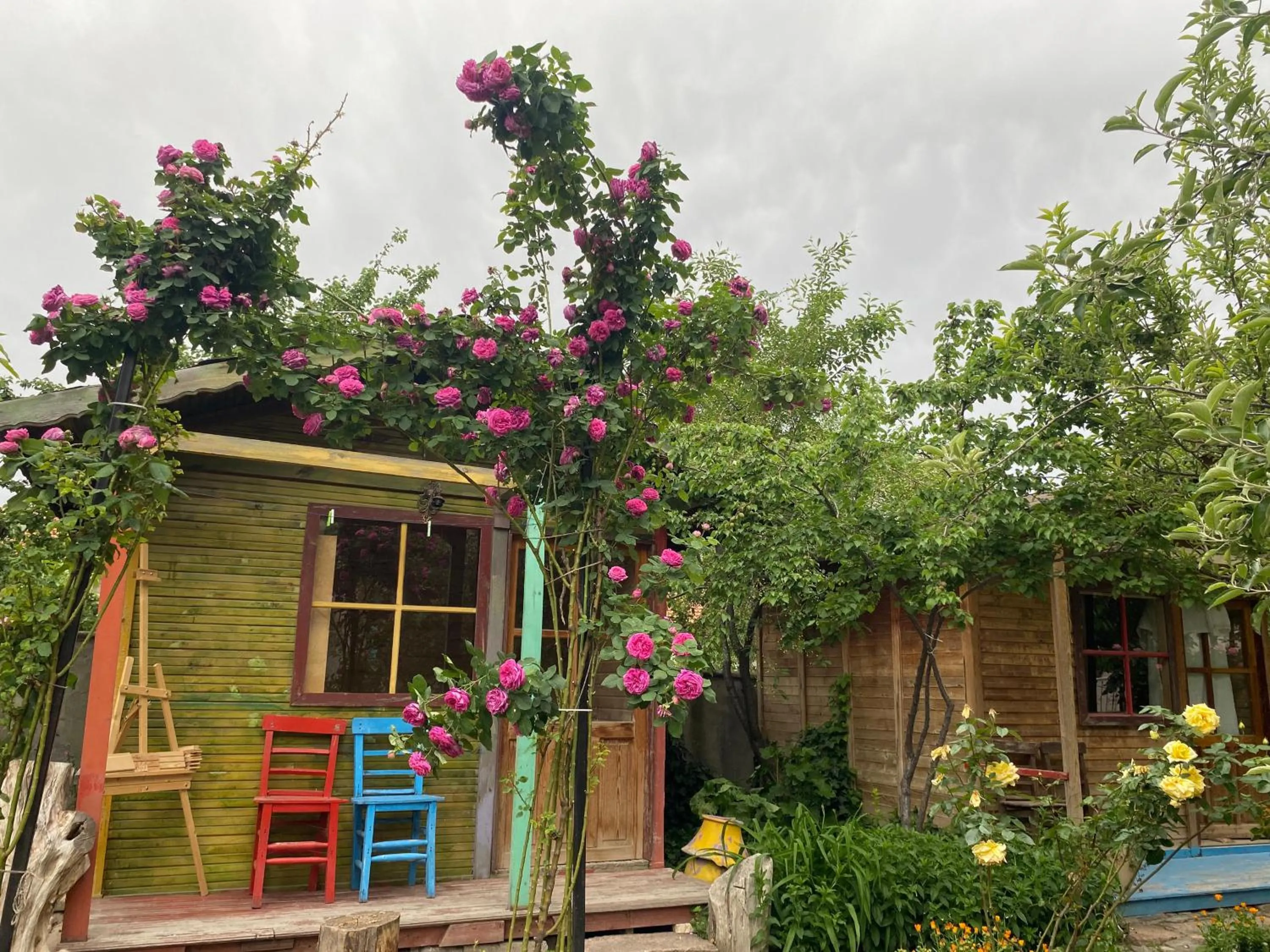 Garden in Philosophy Hotel