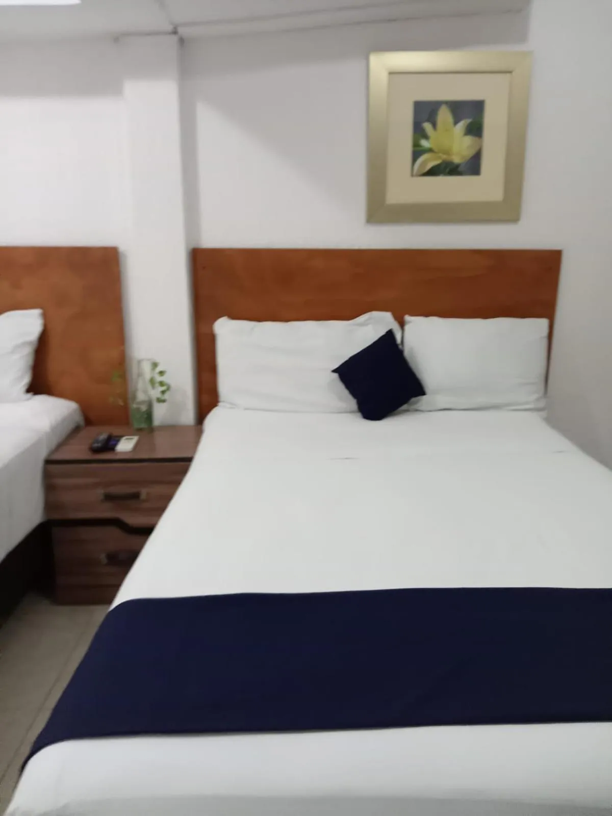 Bed in Íkaro Suites Cancún