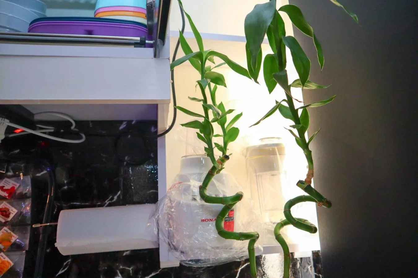 Hostgool Beach Chalets Mirage bay resort & aqua park