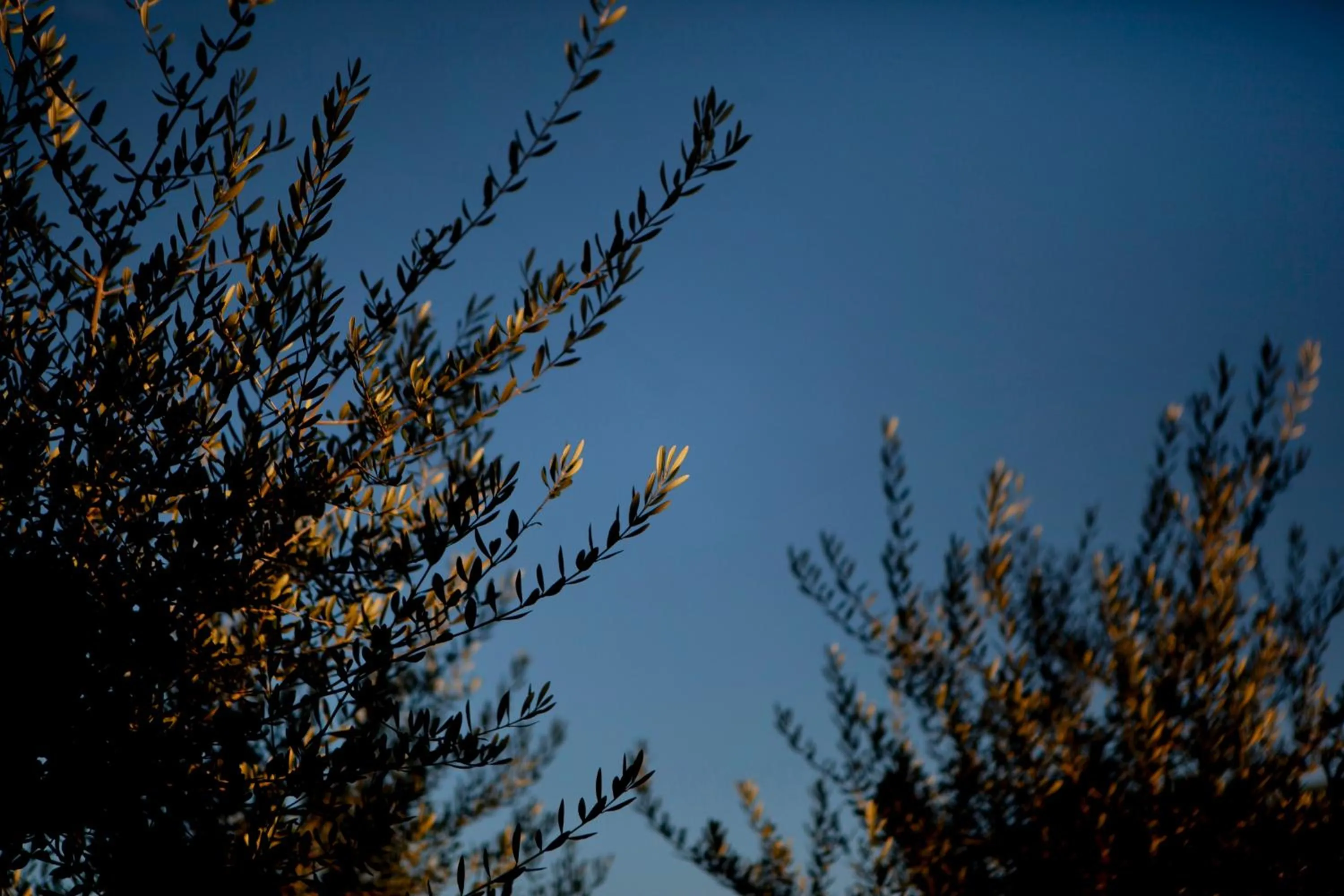 Albades Hotel & Spa - Adults Only - 4 Star Superior