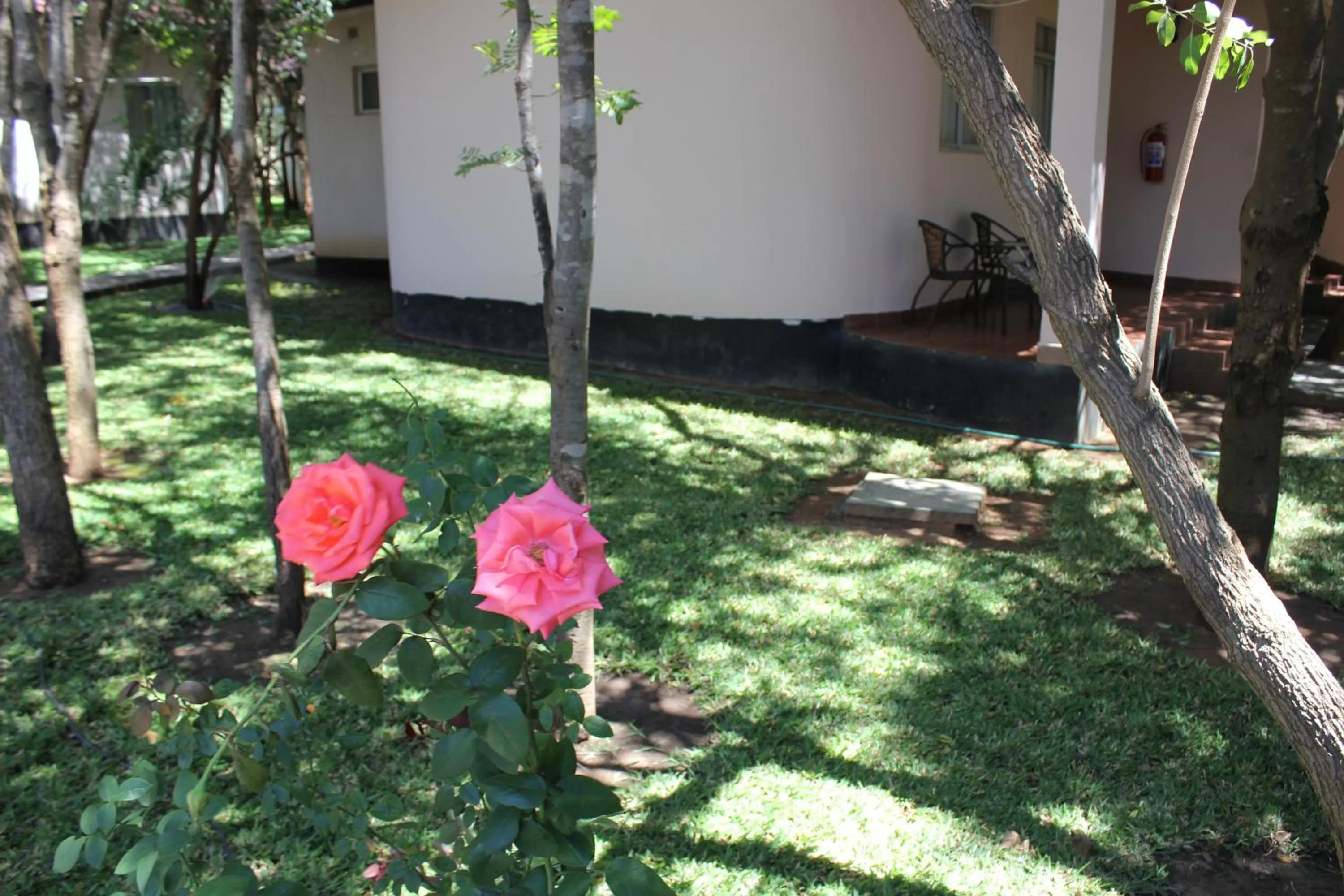 Garden in Chamba Valley Exotic Hotel