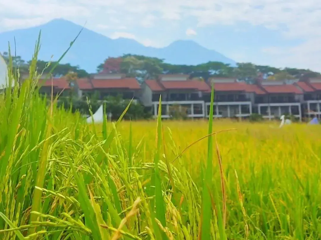 BeSS Resort and Waterpark Lawang BeSS Resort and Waterpark Lawang