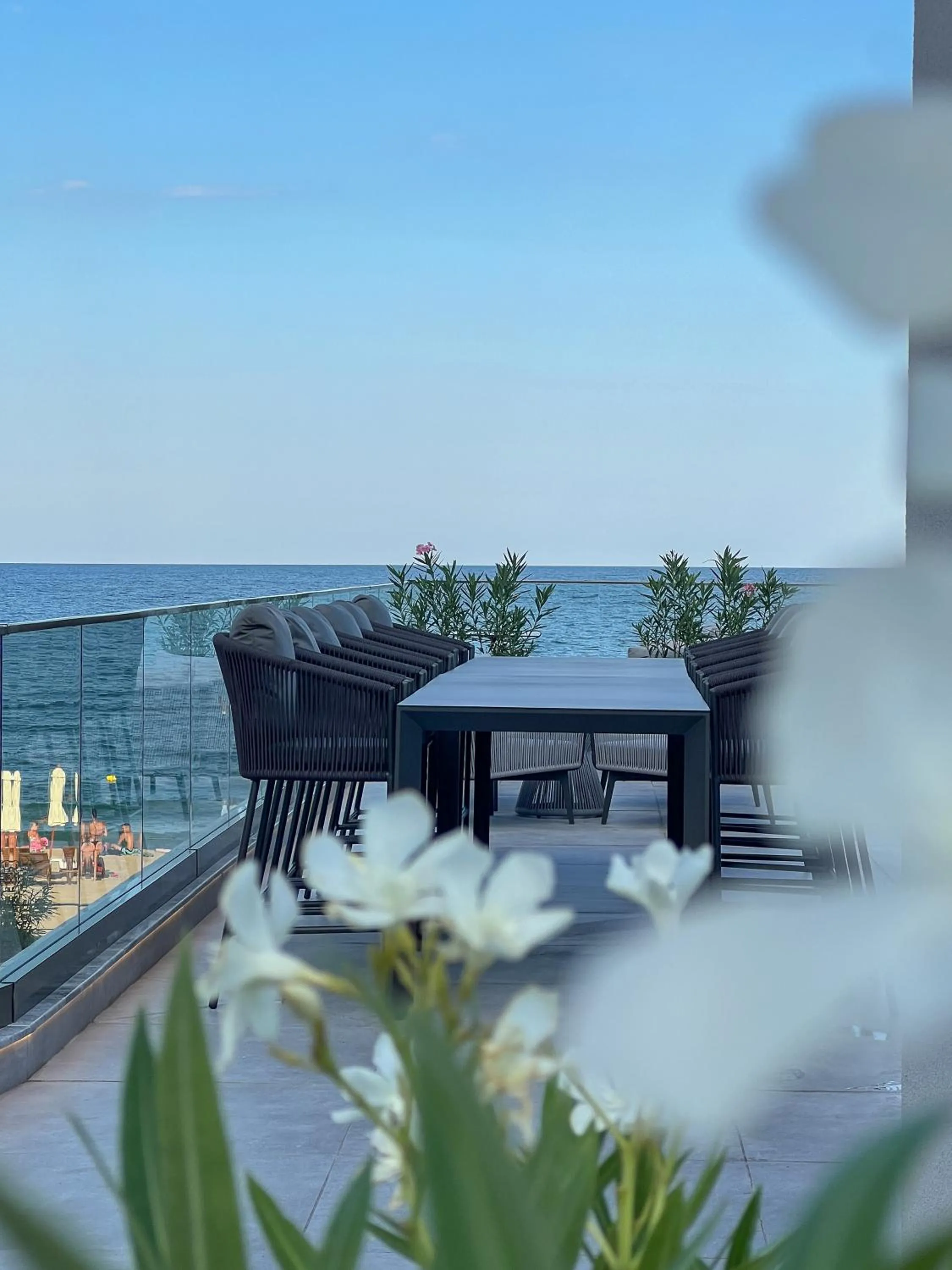 Lounge or bar in GRIFID Noa