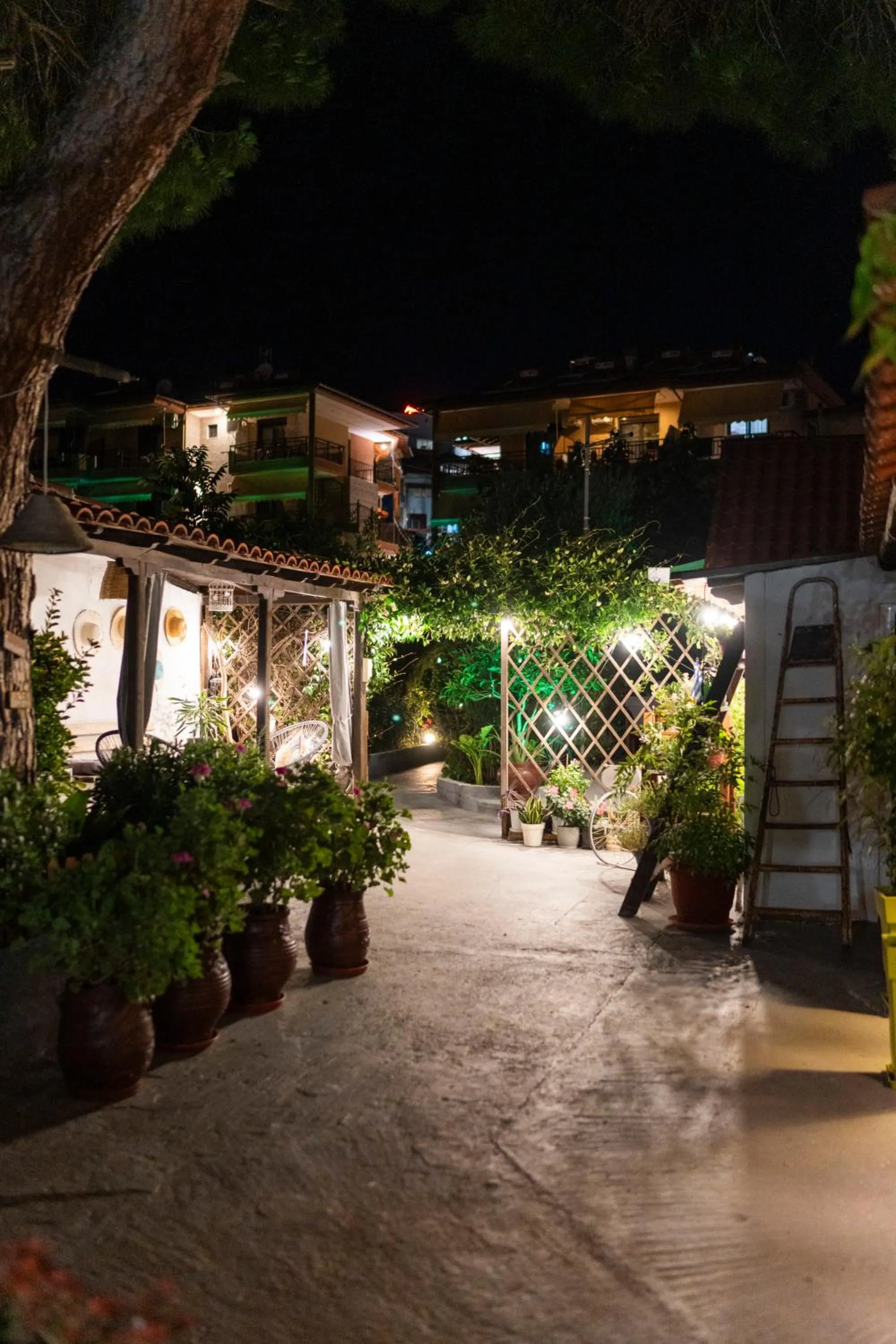 Garden in Epohikon Studios