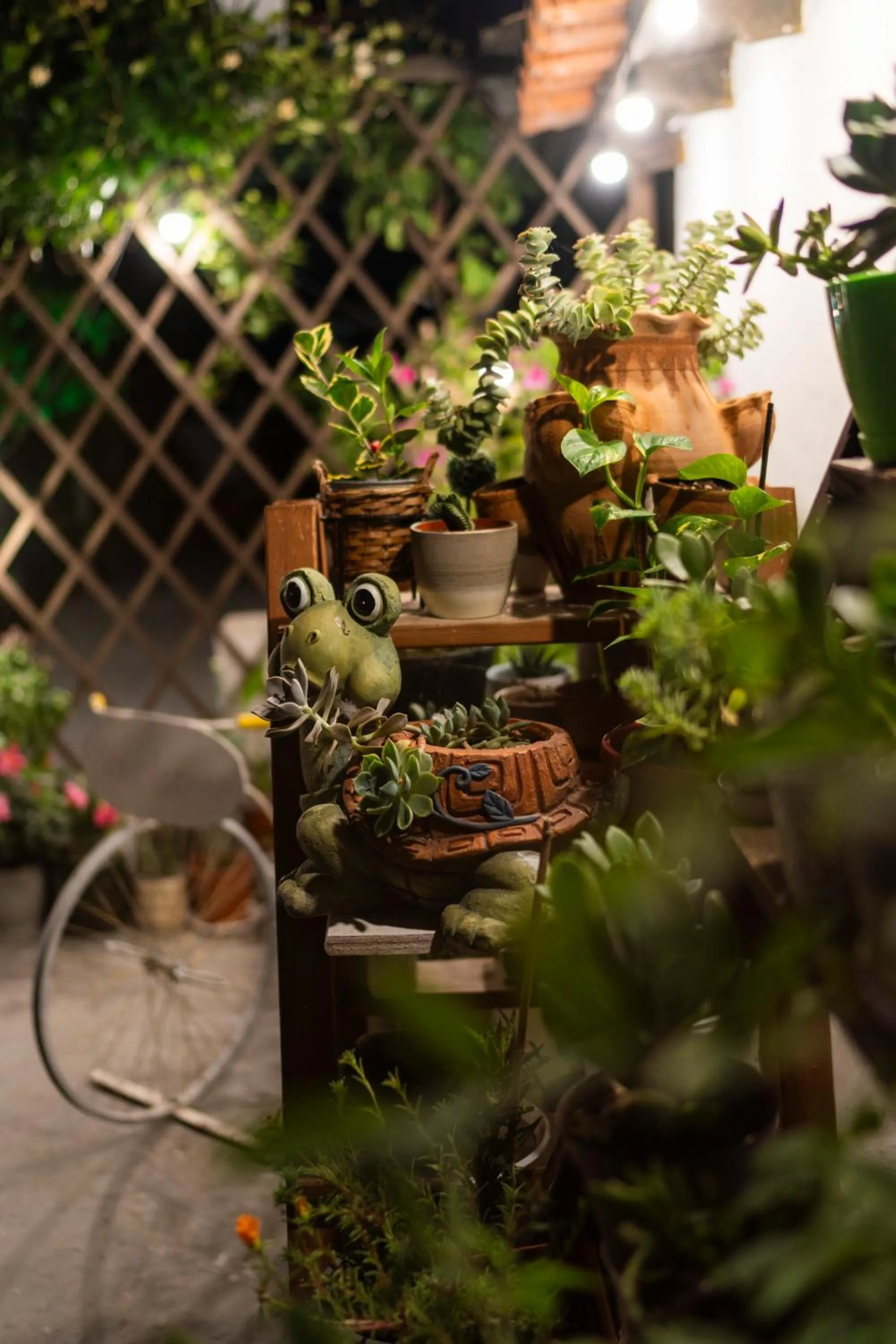Garden in Epohikon Studios