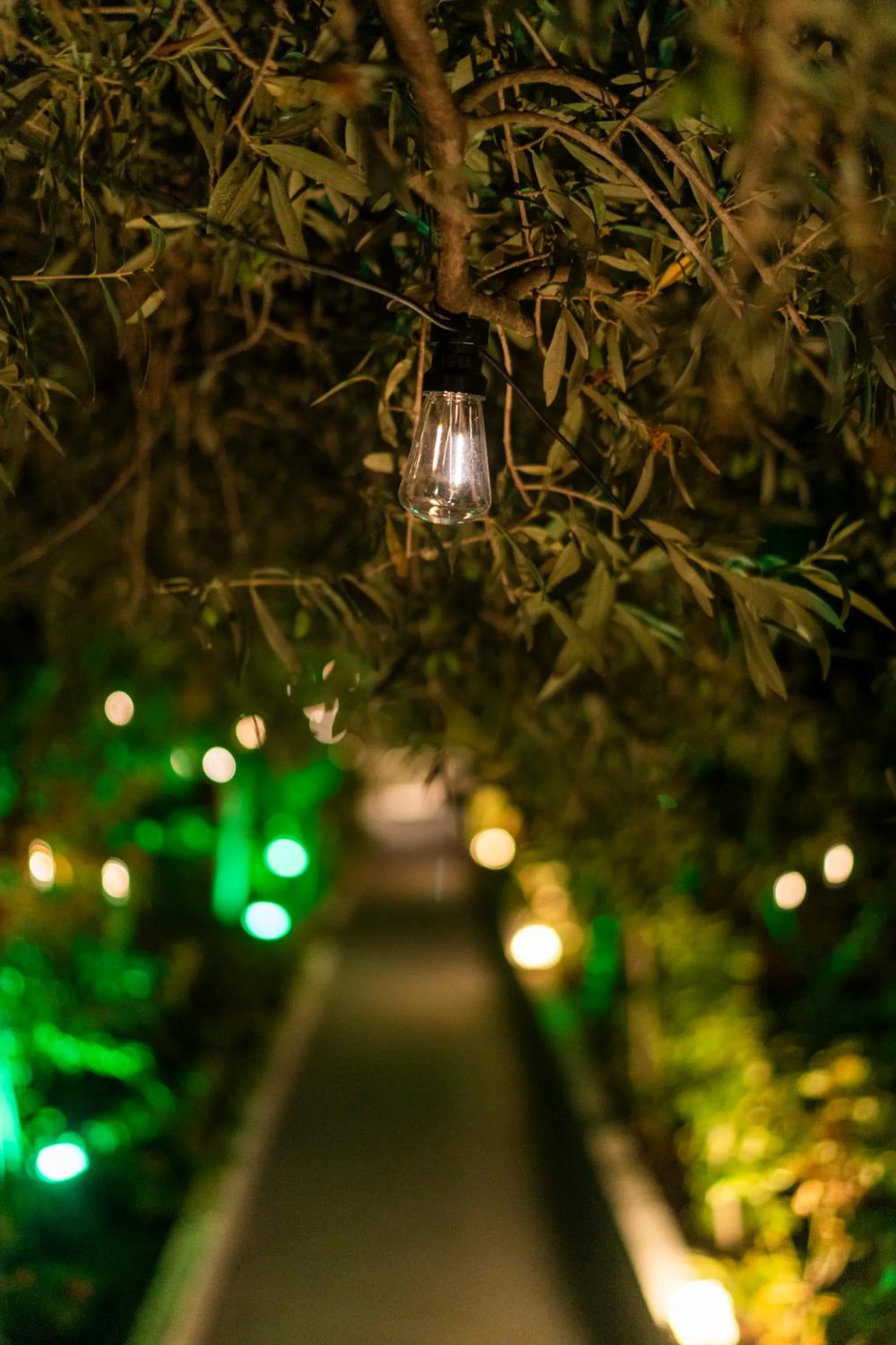 Garden in Epohikon Studios