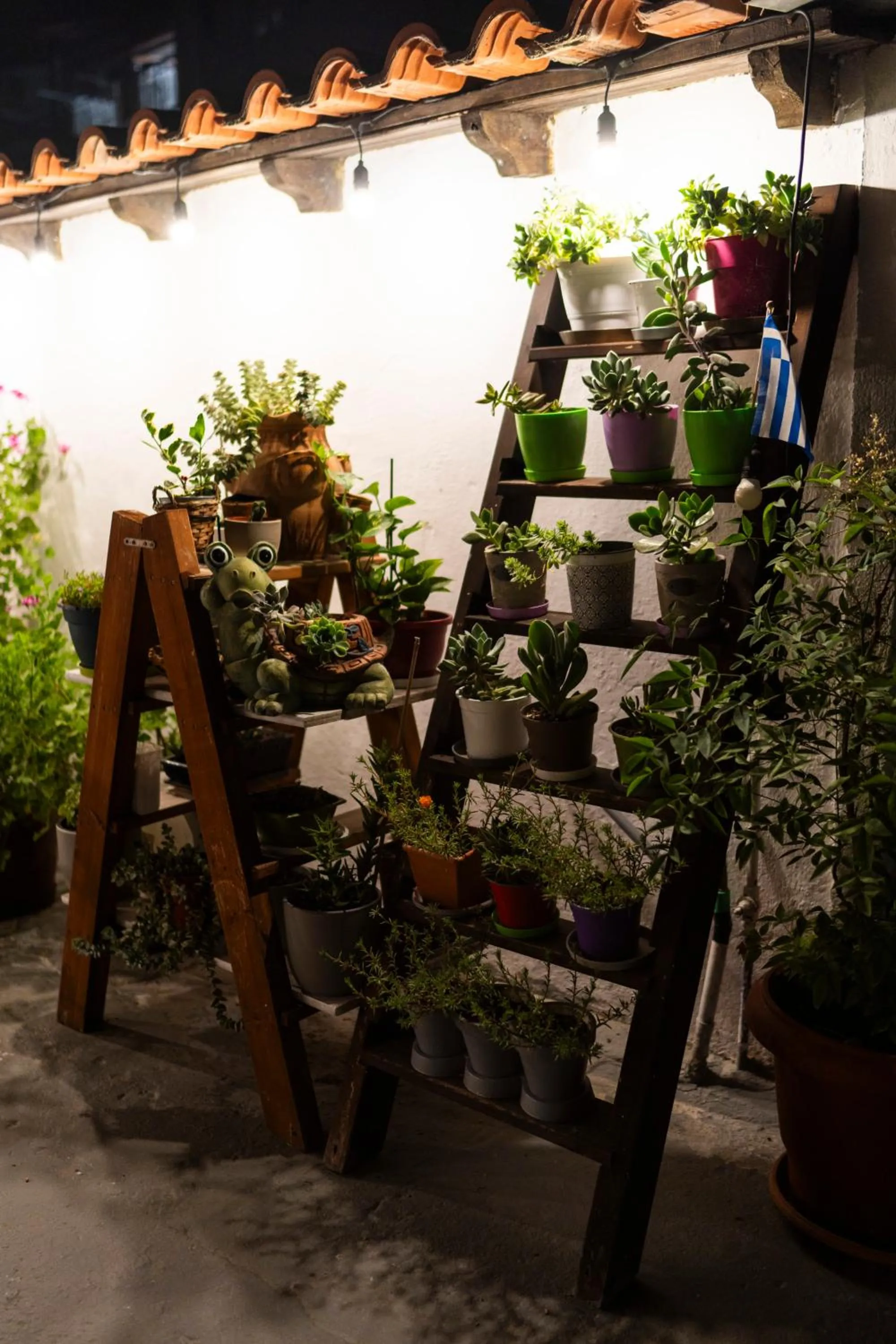 Garden in Epohikon Studios