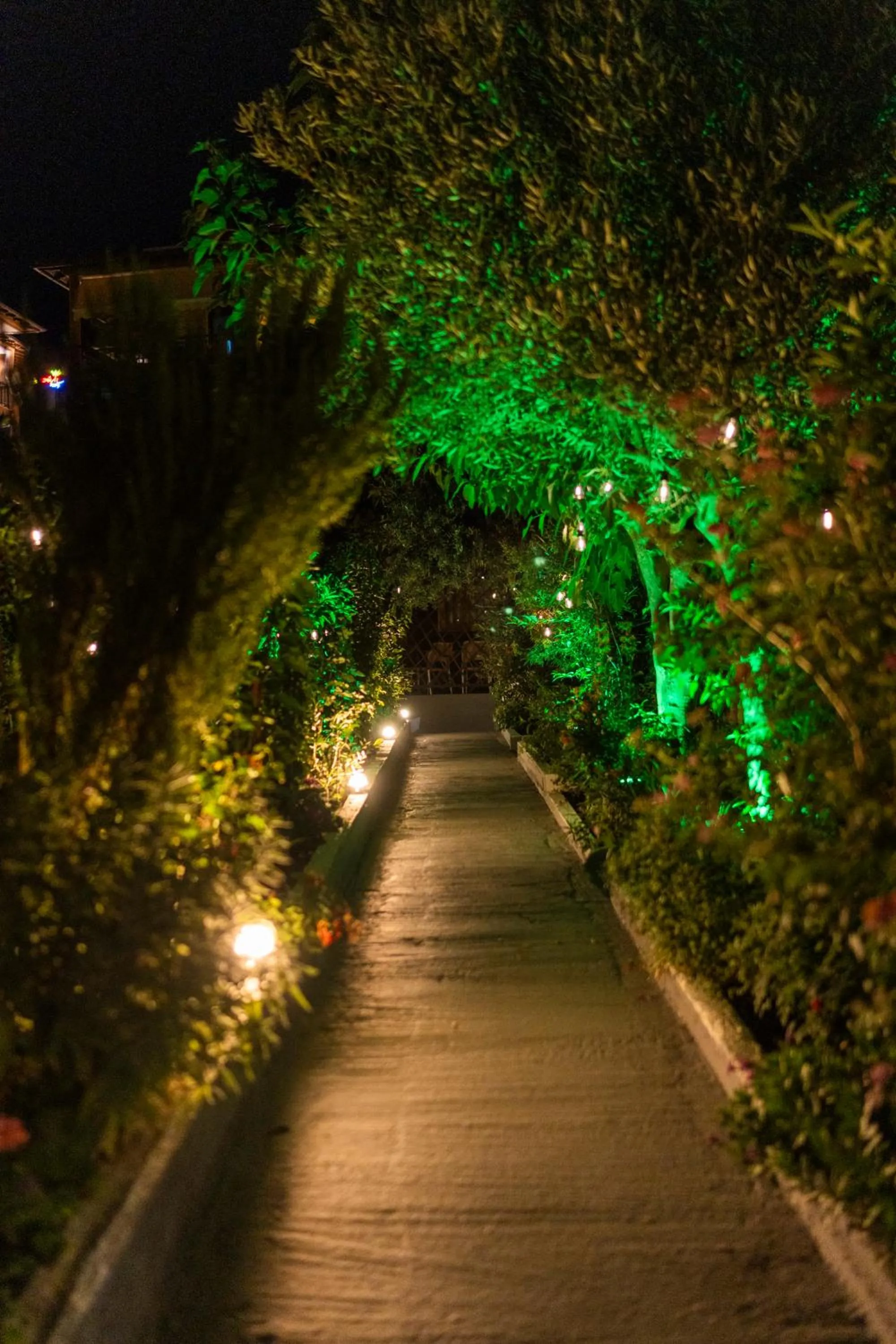 Garden in Epohikon Studios