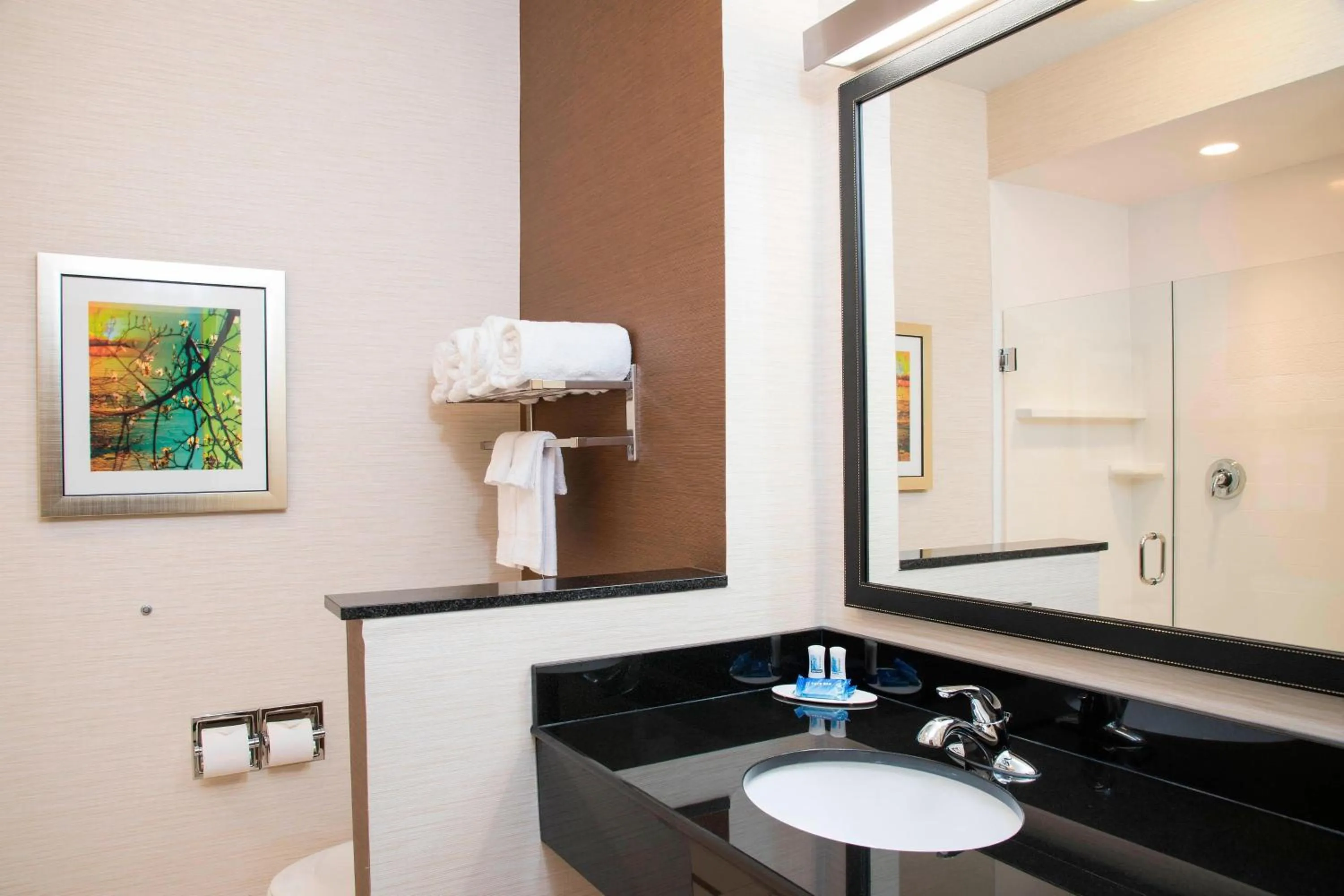 Bathroom in Fairfield Inn & Suites by Marriott Fredericksburg Texas