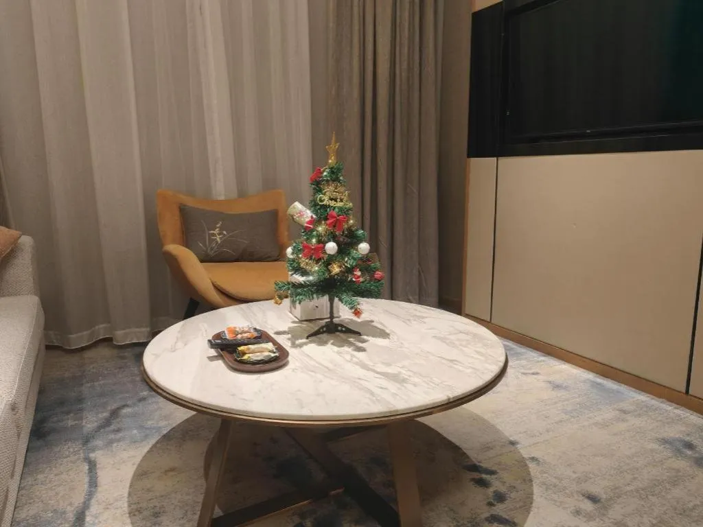 The Hotel V Nanjing Lishui