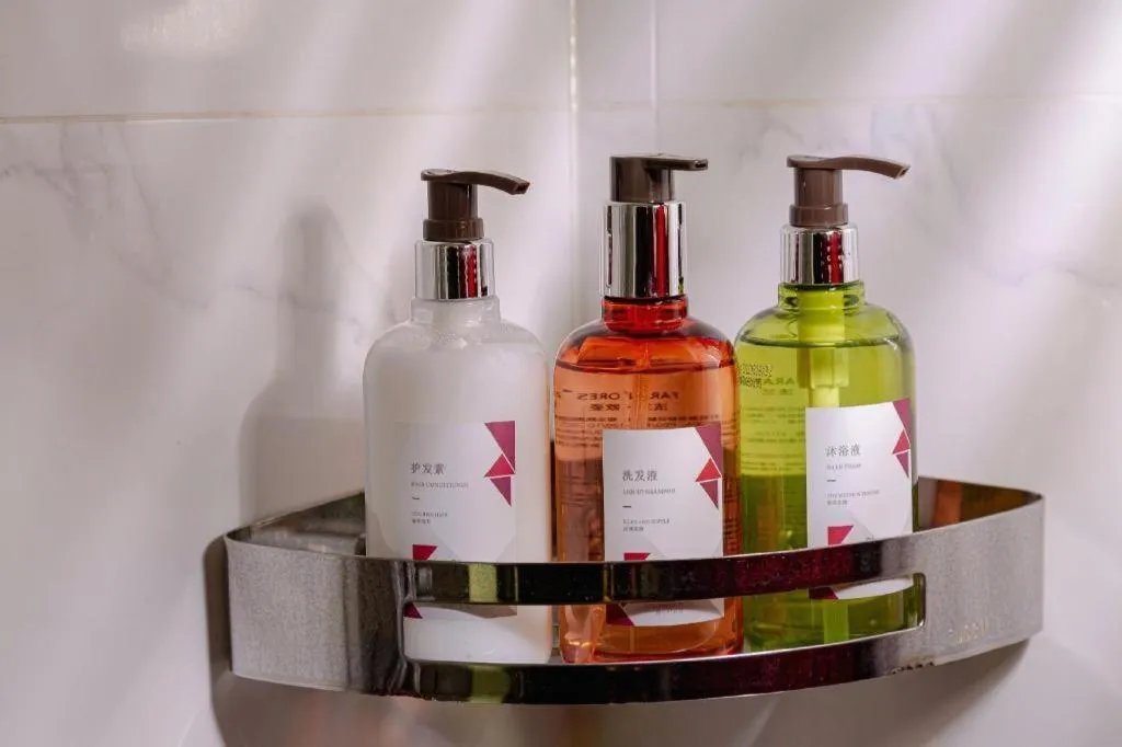 Borrman Hotel Zhanjiang Wuchuan Jinsha Plaza