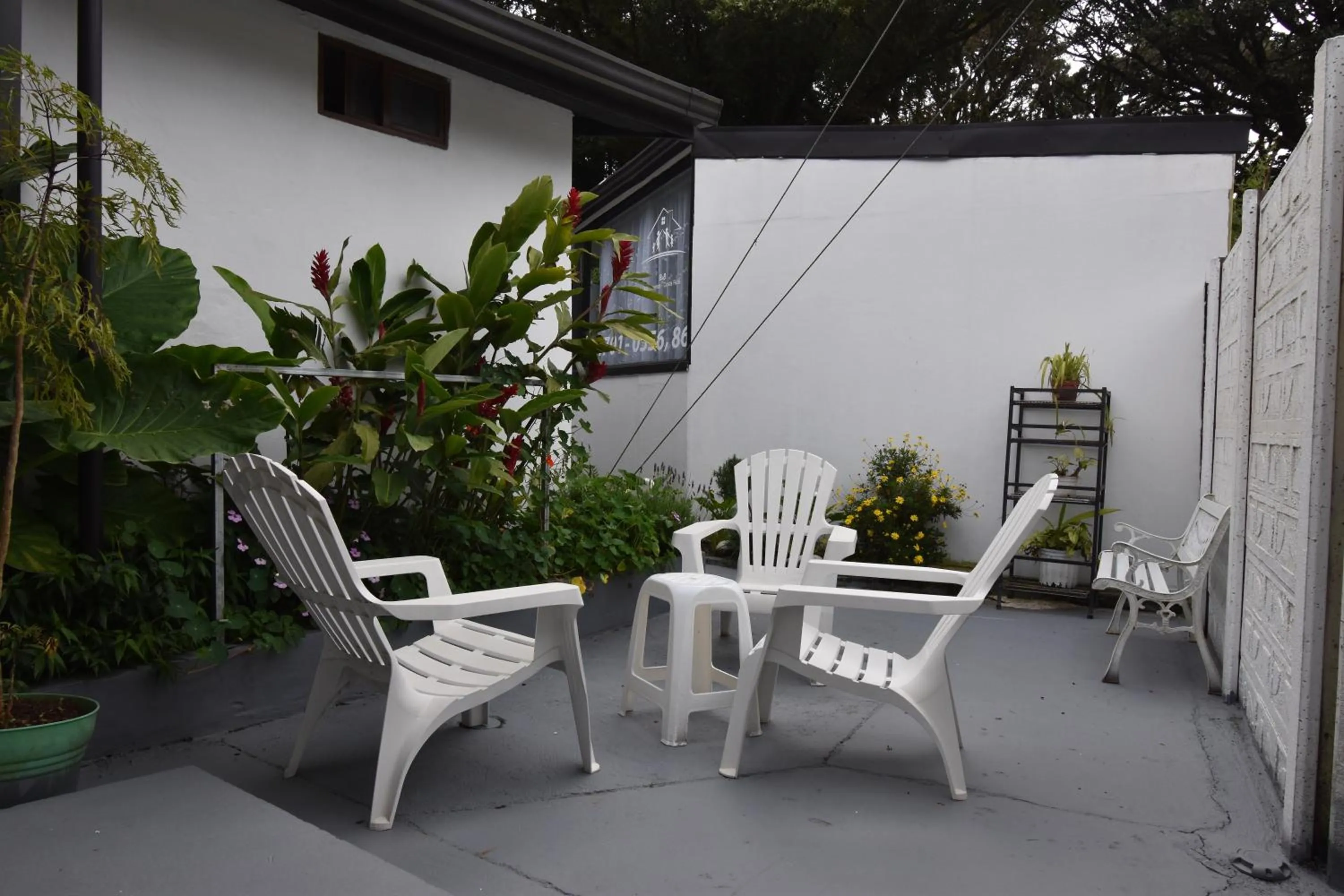 Garden in Freddy`s Place B&B