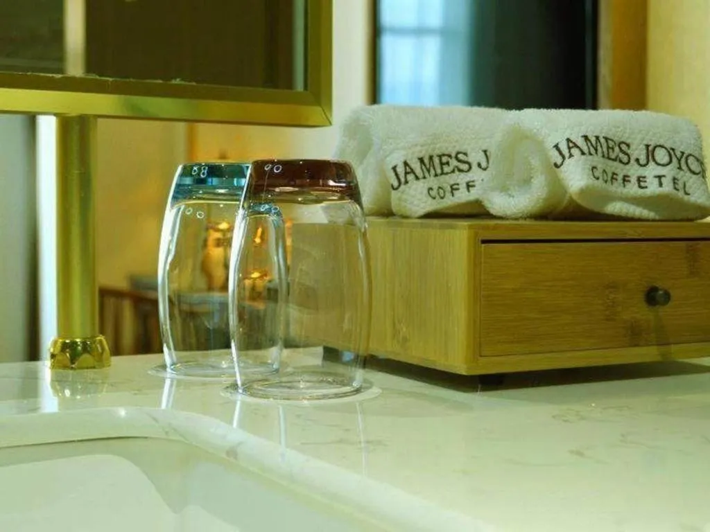 James Joyce Coffetel Lijiang Ancient City Dashuiche