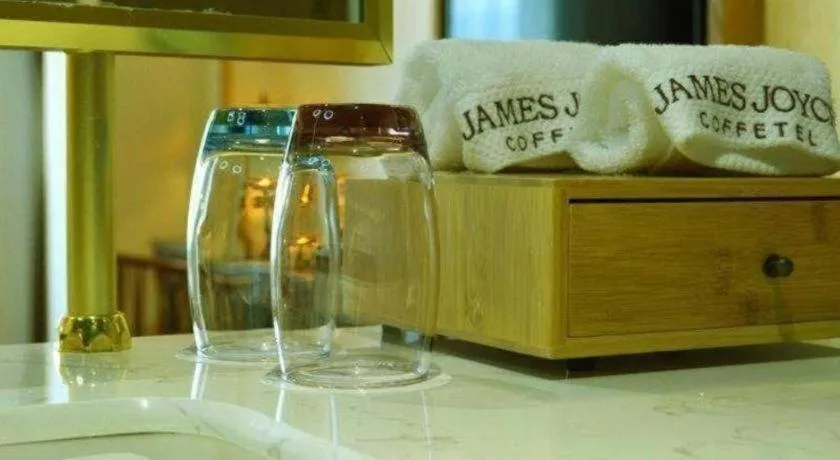 James Joyce Coffetel Lijiang Ancient City Dashuiche