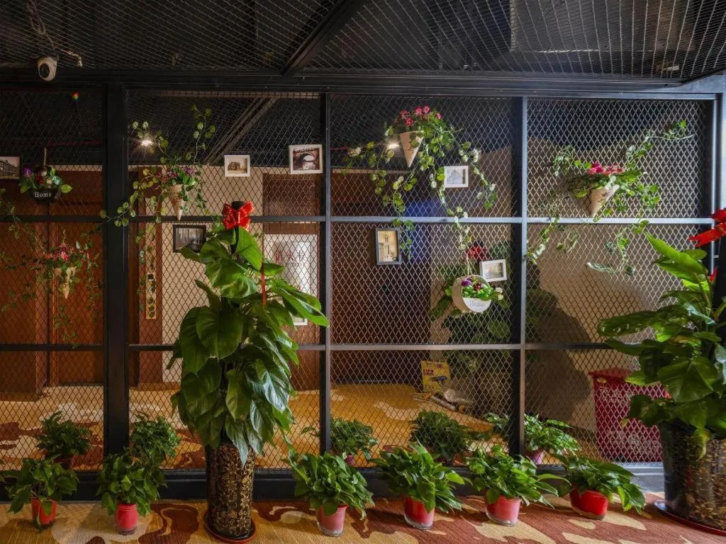 James Joyce Coffetel Tianjing First Central Hospital Nankai University