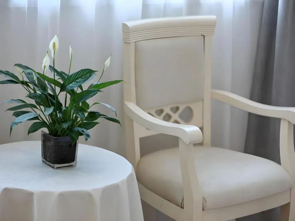 Vatica Hotel Huangshan South Gate Terminal Station