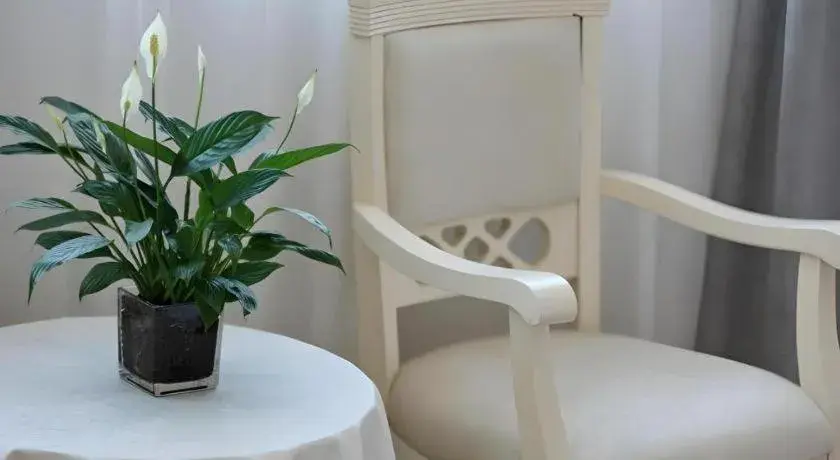 Vatica Hotel Huangshan South Gate Terminal Station Vatica Hotel Huangshan South Gate Terminal Station