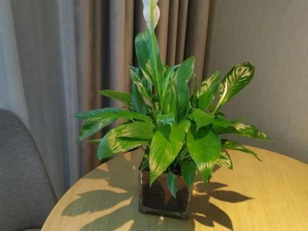 Echarm Hotel Hefei West Qilitang Metro Station