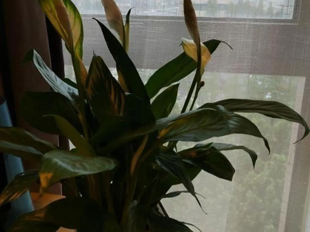 Echarm Hotel Hefei West Qilitang Metro Station