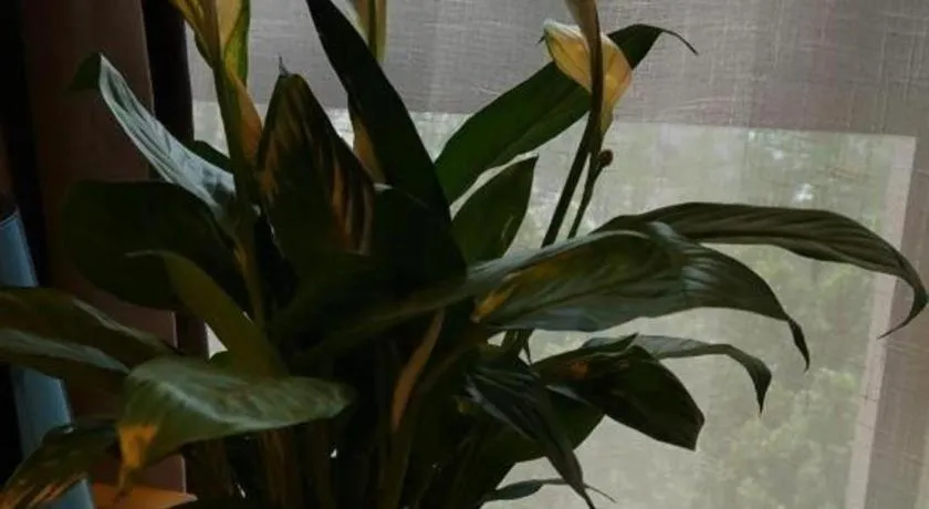 Echarm Hotel Hefei West Qilitang Metro Station