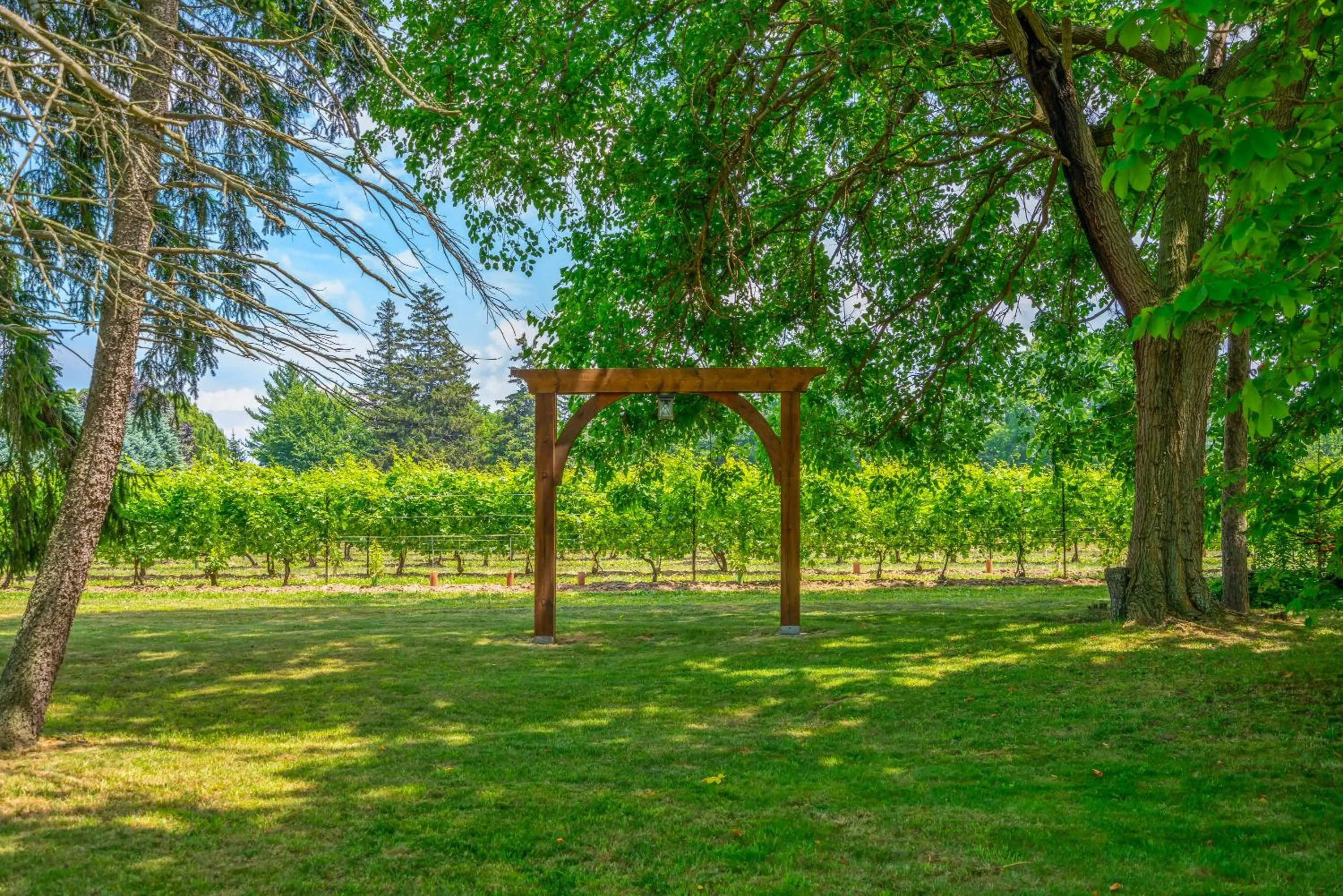 Vineyard Villa