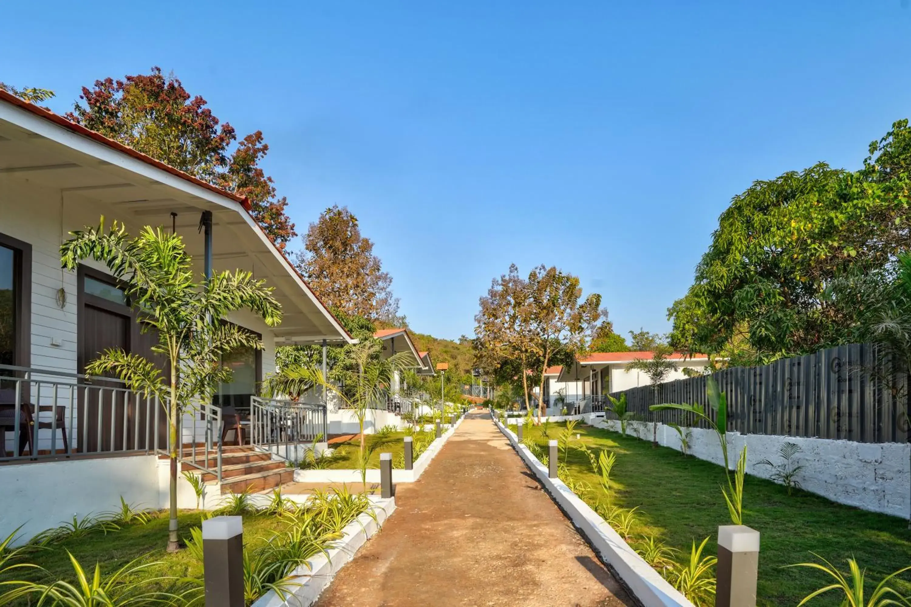 Garden view in Amore Serenity Resort Garden view in Amore Serenity Resort