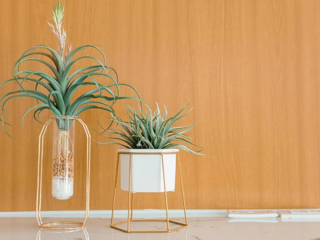 B2 Surat Thani Premier Hotel