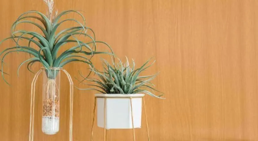 B2 Surat Thani Premier Hotel